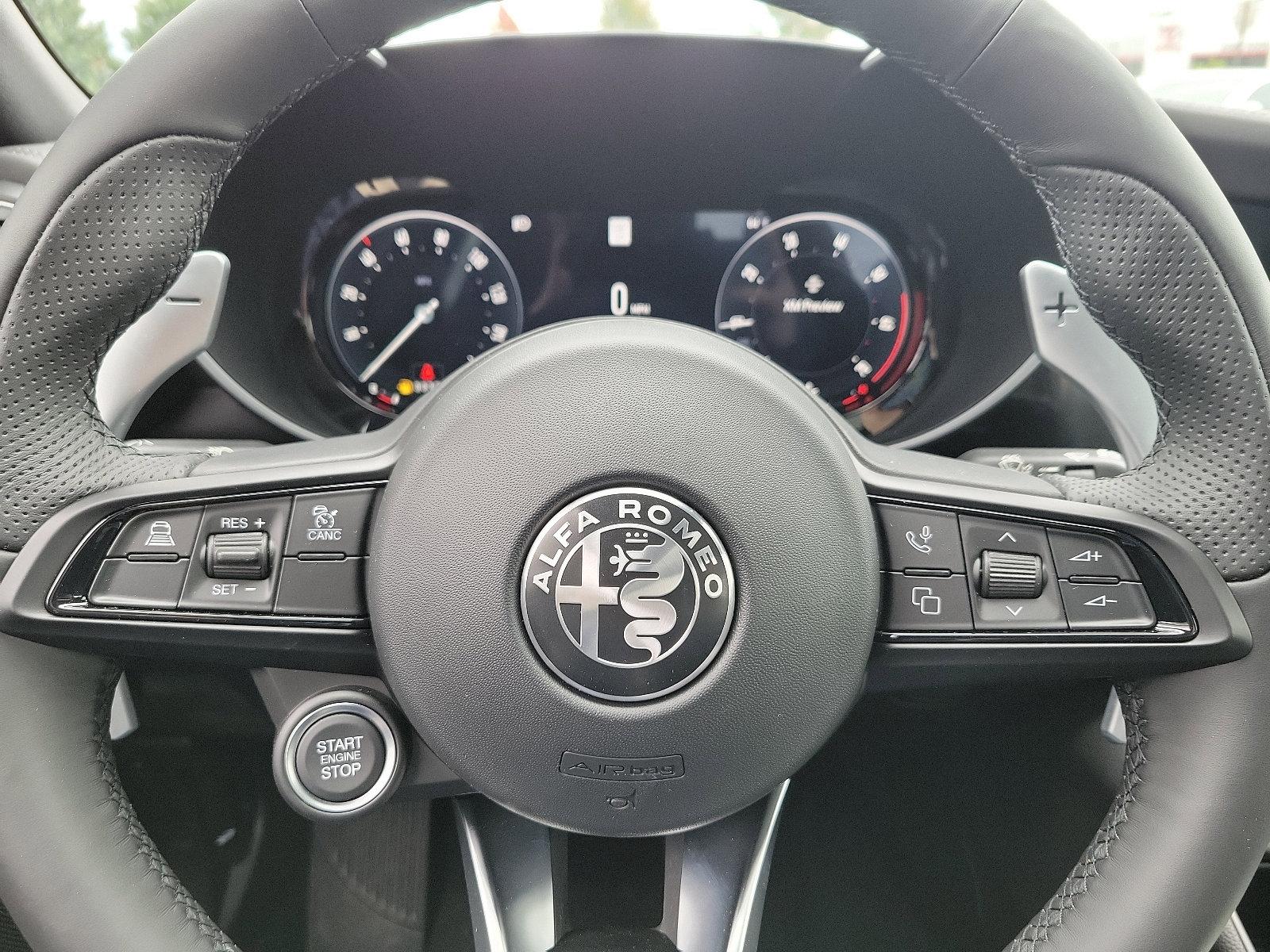 2024 Alfa Romeo Giulia Vehicle Photo in Mechanicsburg, PA 17050