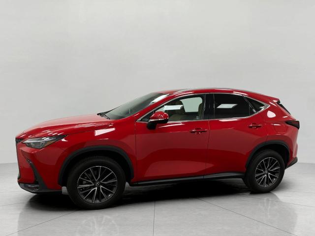 2022 Lexus NX 250 Vehicle Photo in Appleton, WI 54913