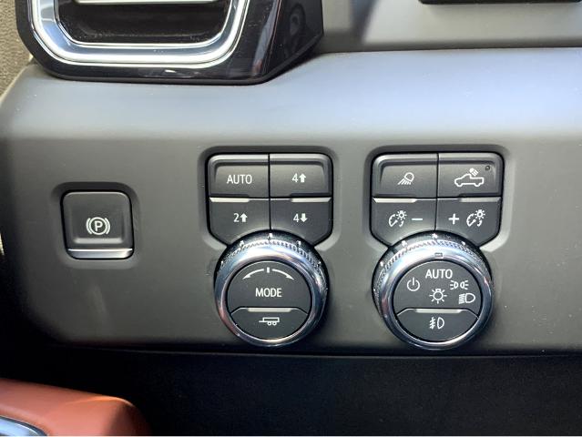 2025 GMC Sierra 1500 Vehicle Photo in BEAUFORT, SC 29906-4218
