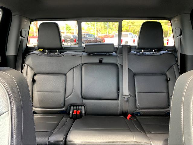 2025 GMC Sierra 1500 Vehicle Photo in BEAUFORT, SC 29906-4218
