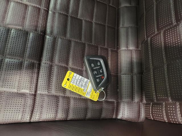 2023 Cadillac Escalade Vehicle Photo in APPLETON, WI 54914-4656
