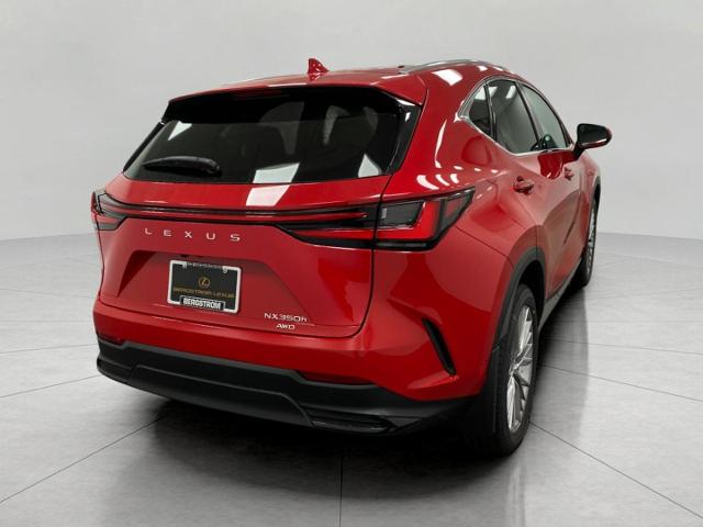 2025 Lexus NX 350h Vehicle Photo in Appleton, WI 54913