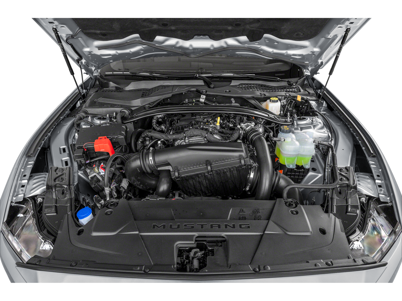 2024 Ford Mustang Vehicle Photo in Tulsa, OK 74145