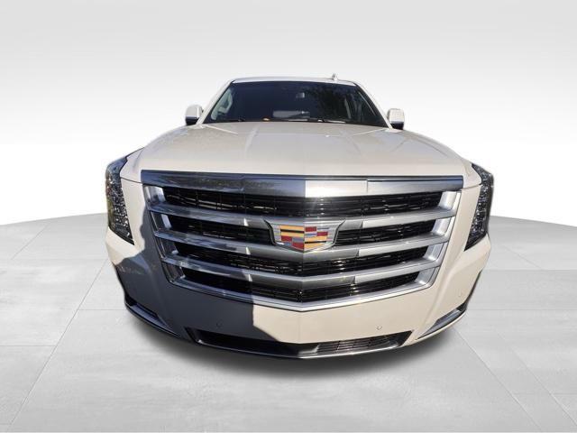 2019 Cadillac Escalade Vehicle Photo in DELRAY BEACH, FL 33483-3294