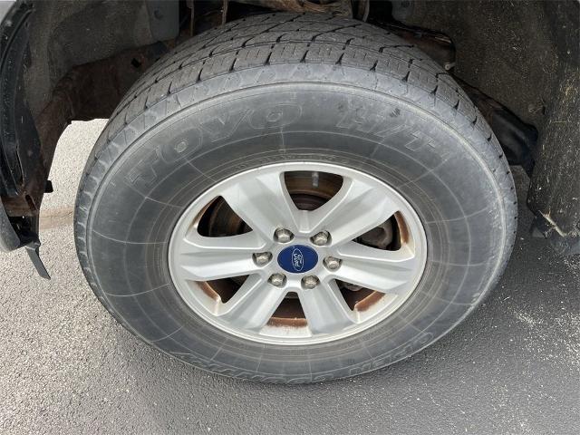2017 Ford F-150 Vehicle Photo in TULLY, NY 13159-3159