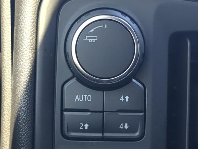 2024 Chevrolet Silverado 1500 Vehicle Photo in Brunswick, GA 31525