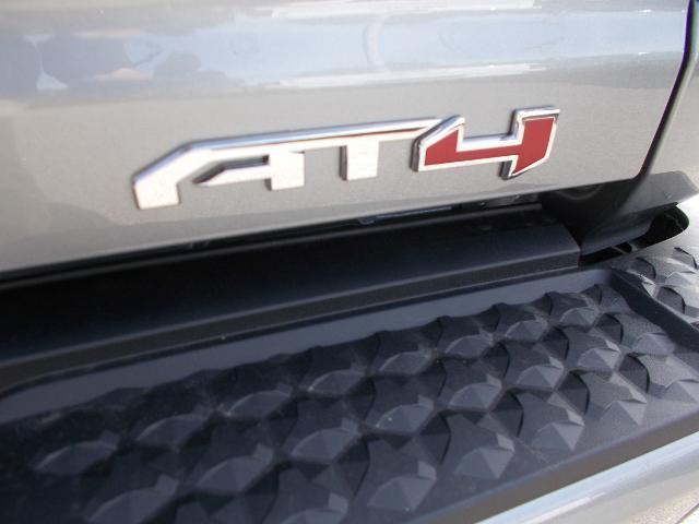 2025 GMC Canyon Vehicle Photo in LOWELL, MA 01852-4336