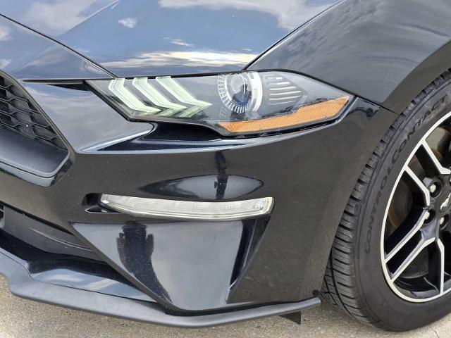 2022 Ford Mustang Vehicle Photo in DENTON, TX 76210-9321
