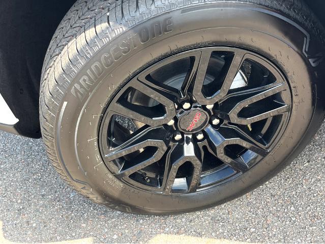 2024 GMC Sierra 1500 Vehicle Photo in BEAUFORT, SC 29906-4218