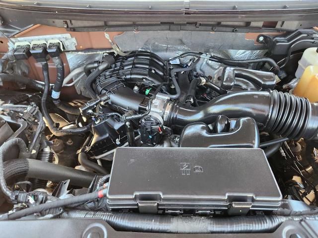 2011 Ford F-150 Vehicle Photo in DENTON, TX 76210-9321