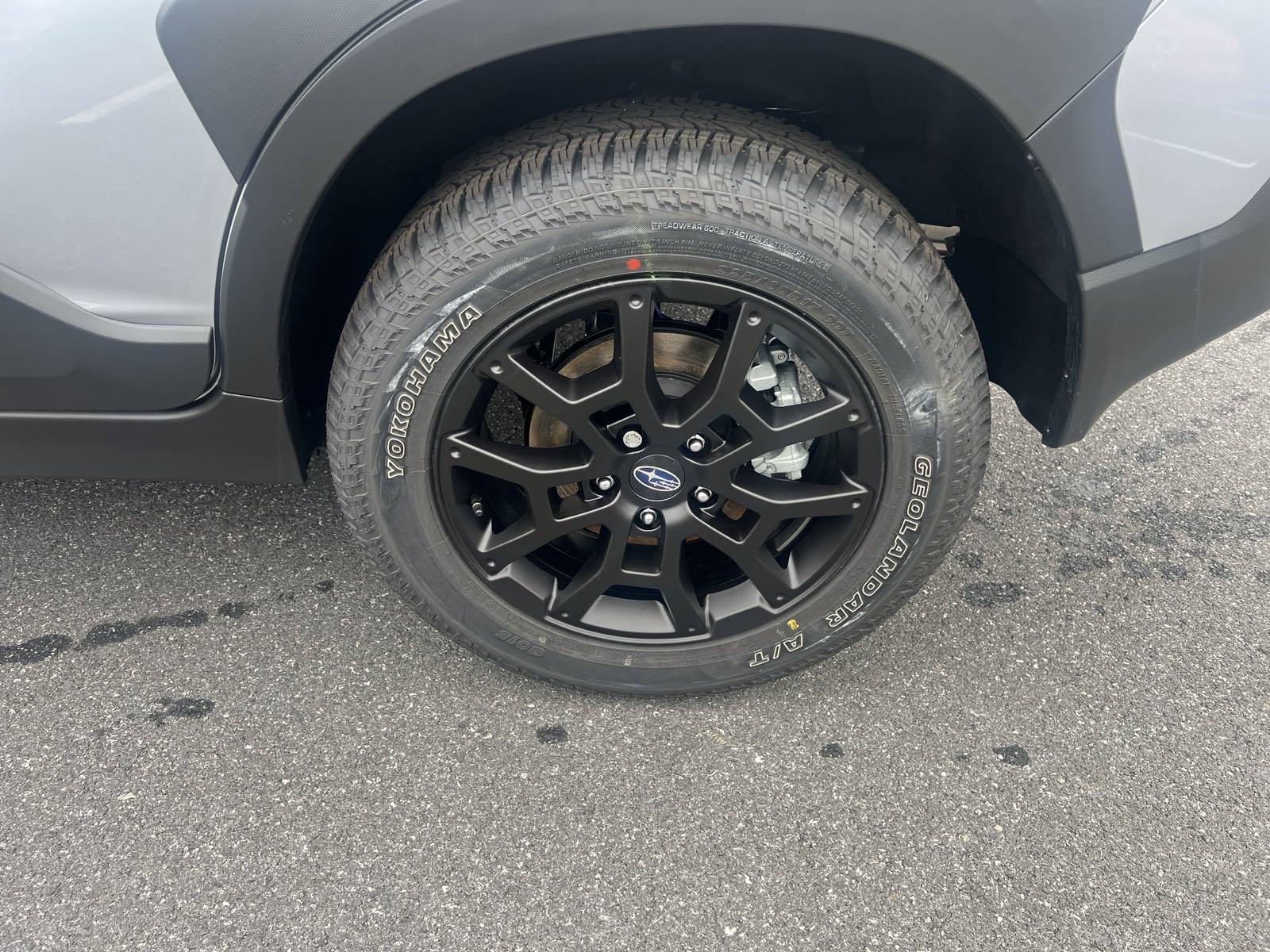 2025 Subaru Crosstrek Vehicle Photo in Mechanicsburg, PA 17050