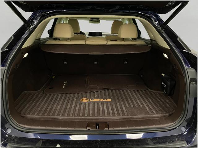 2020 Lexus RX 350 Vehicle Photo in Appleton, WI 54913
