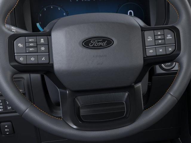2025 Ford F-150 Vehicle Photo in Weatherford, TX 76087