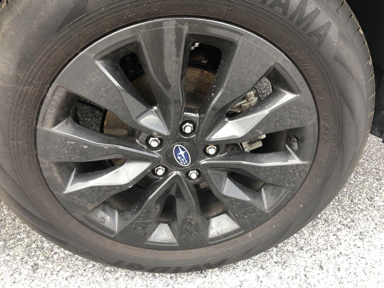 2024 Subaru Outback Vehicle Photo in Mechanicsburg, PA 17050