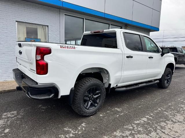 2025 Chevrolet Silverado 1500 Vehicle Photo in FAIRMONT, WV 26554-2318
