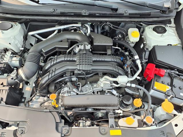2024 Subaru Crosstrek Vehicle Photo in Oshkosh, WI 54904