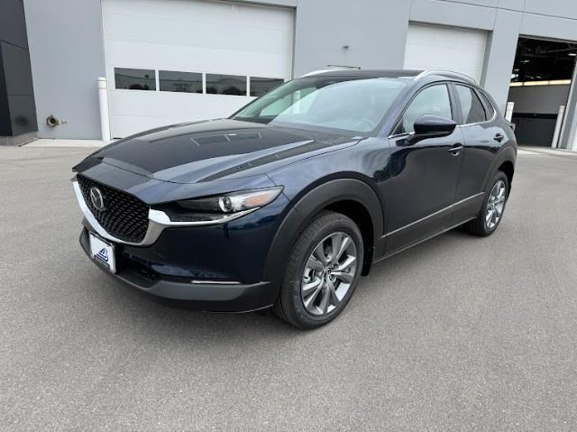 2025 Mazda CX-30 Vehicle Photo in Green Bay, WI 54304