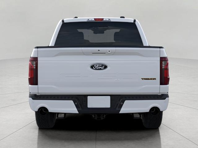 2025 Ford F-150 Vehicle Photo in Neenah, WI 54956