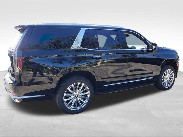 2024 Cadillac Escalade Vehicle Photo in DELRAY BEACH, FL 33483-3294