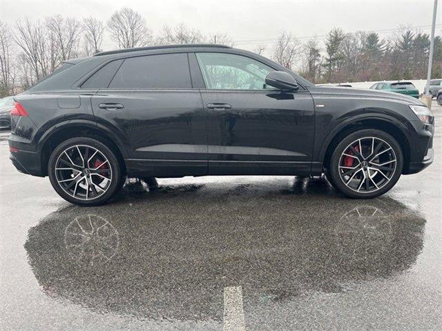 2022 Audi Q8 Vehicle Photo in Willow Grove, PA 19090