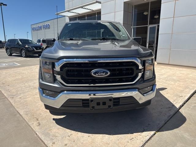 2023 Ford F-150 Vehicle Photo in Winslow, AZ 86047-2439