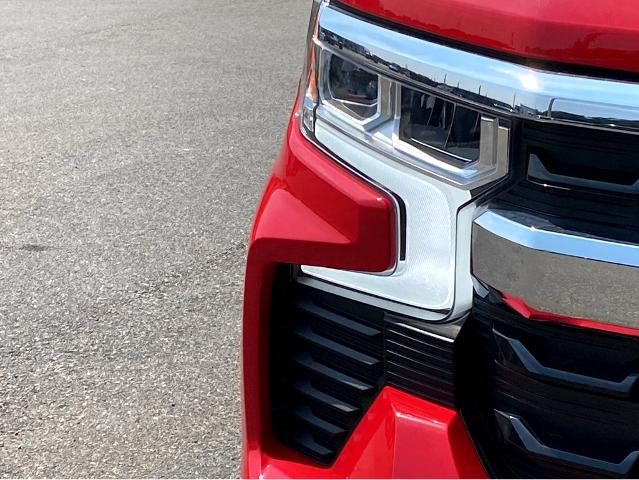2024 Chevrolet Silverado 1500 Vehicle Photo in BEAUFORT, SC 29906-4218