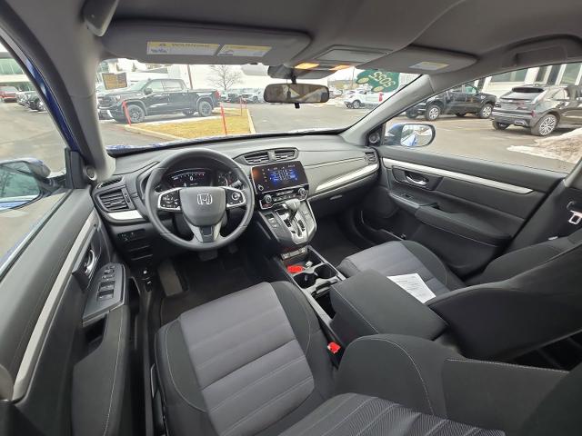 2022 Honda CR-V Vehicle Photo in WILLIAMSVILLE, NY 14221-2883