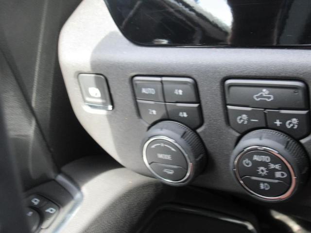 2025 Chevrolet Silverado 1500 Vehicle Photo in LEESBURG, FL 34788-4022