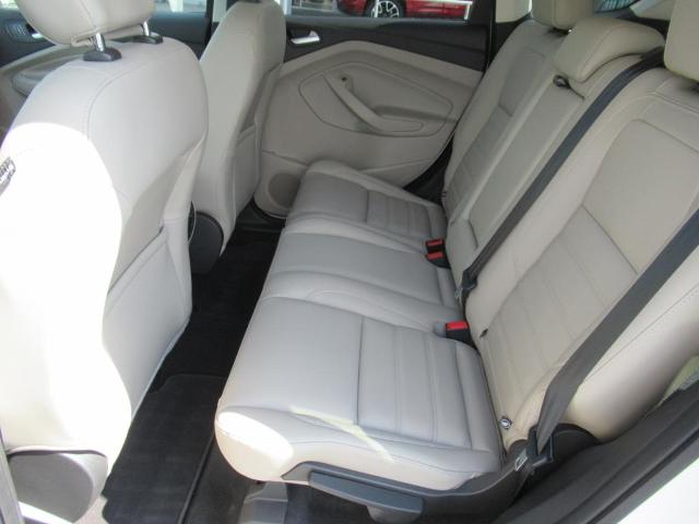 2019 Ford Escape Vehicle Photo in LEESBURG, FL 34788-4022