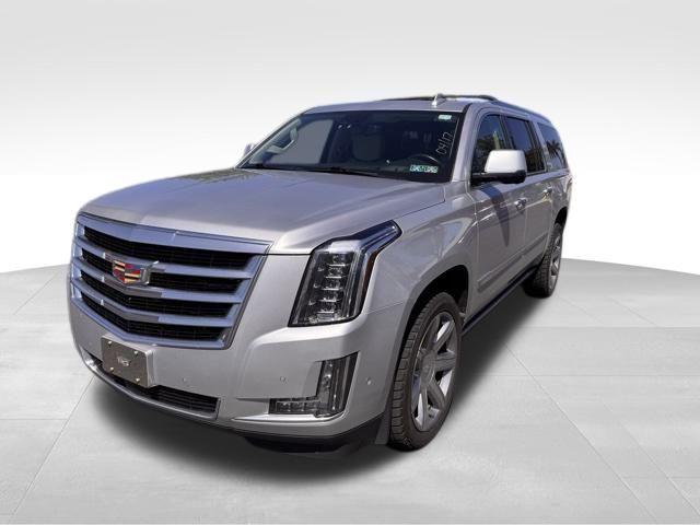 2020 Cadillac Escalade ESV Vehicle Photo in DELRAY BEACH, FL 33483-3294