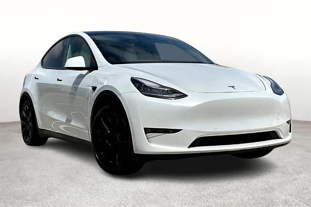 2021 Tesla Model Y Vehicle Photo in Houston, TX 77007