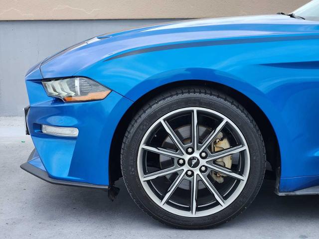 2019 Ford Mustang Vehicle Photo in DALLAS, TX 75209