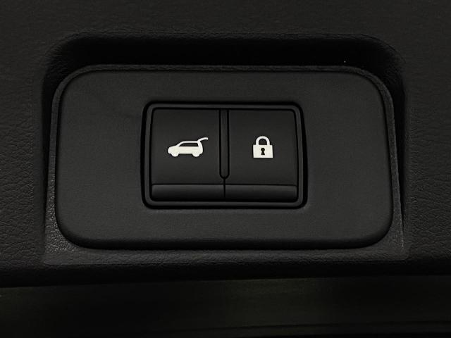 2025 Nissan Rogue Vehicle Photo in Appleton, WI 54913