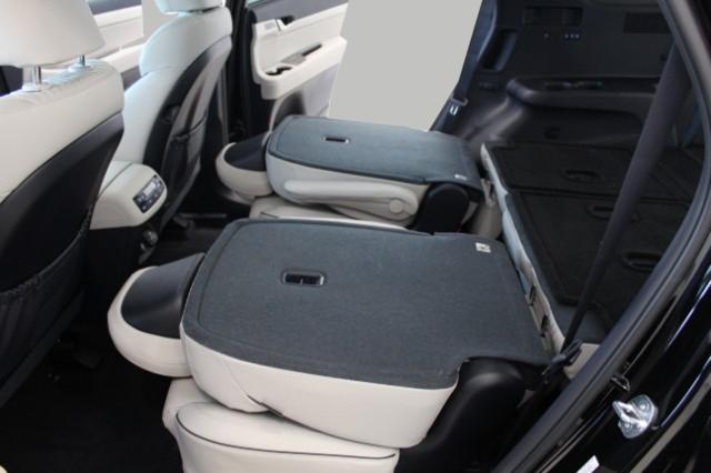 2024 Hyundai PALISADE Vehicle Photo in Green Bay, WI 54304