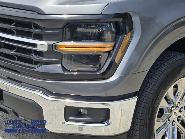 2024 Ford F-150 Vehicle Photo in DENTON, TX 76210-9321