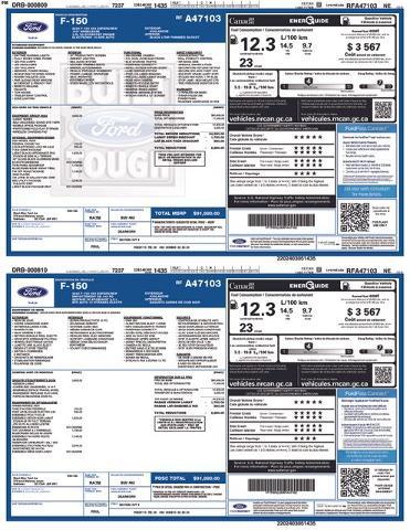 2024 Ford F-150 Vehicle Photo in DANBURY, CT 06810-5034