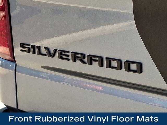 2024 Chevrolet Silverado 1500 Vehicle Photo in PAWLING, NY 12564-3219