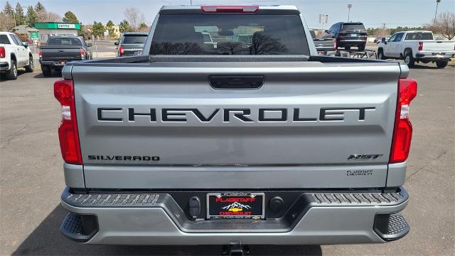 2025 Chevrolet Silverado 1500 Vehicle Photo in FLAGSTAFF, AZ 86001-6214
