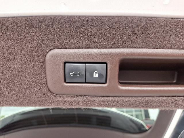 2020 Lexus RX Vehicle Photo in HARRISBURG, PA 17111-1033