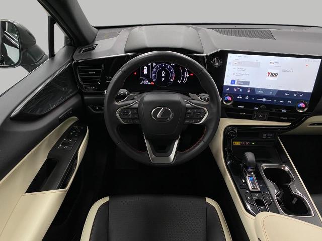 2024 Lexus NX 250 Vehicle Photo in Appleton, WI 54913