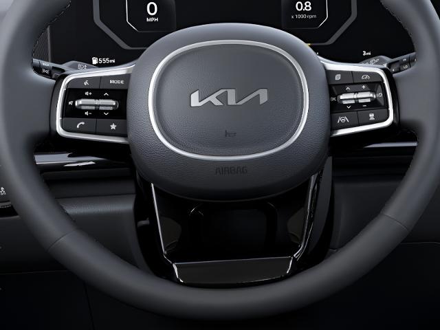 2025 Kia Carnival Hybrid Vehicle Photo in Oshkosh, WI 54904