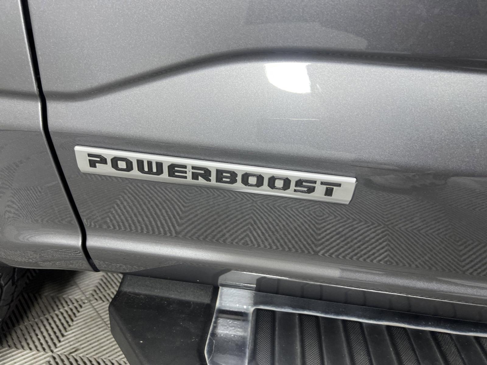 2021 Ford F-150 Vehicle Photo in GEORGETOWN, TX 78626-7508