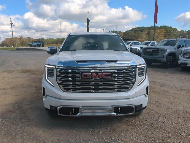 2025 GMC Sierra 1500 Vehicle Photo in ALBERTVILLE, AL 35950-0246