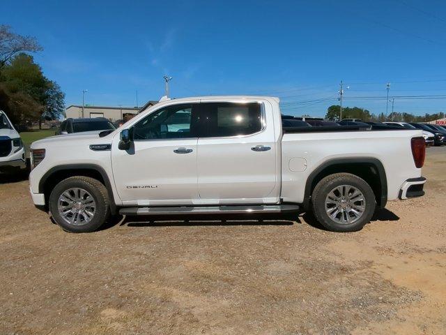 2025 GMC Sierra 1500 Vehicle Photo in ALBERTVILLE, AL 35950-0246