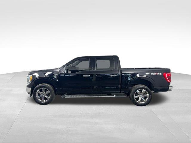 2021 Ford F-150 Vehicle Photo in MEDINA, OH 44256-9631