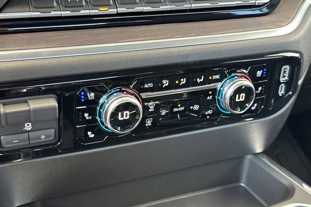 2025 GMC Sierra 1500 Vehicle Photo in STOCKTON, CA 95212-2838