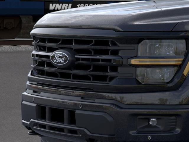 2025 Ford F-150 Vehicle Photo in Weatherford, TX 76087