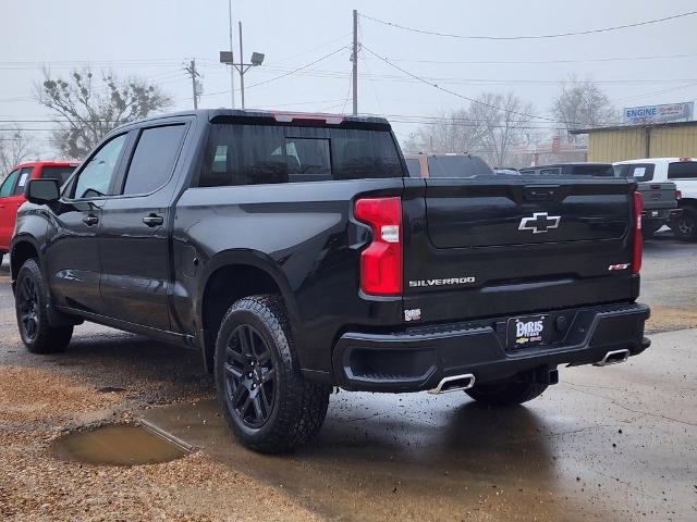 2025 Chevrolet Silverado 1500 Vehicle Photo in PARIS, TX 75460-2116