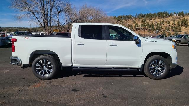 2022 Chevrolet Silverado 1500 Vehicle Photo in FLAGSTAFF, AZ 86001-6214