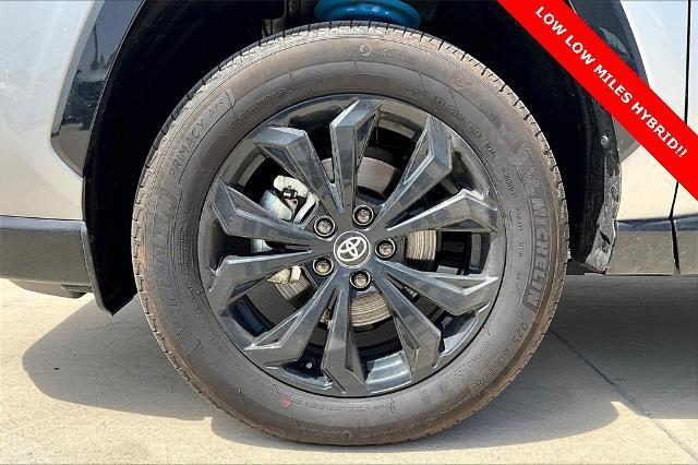 2024 Toyota RAV4 Vehicle Photo in Grapevine, TX 76051
